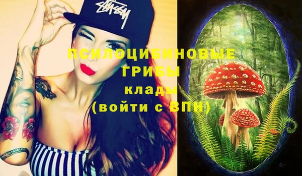 круглые Алзамай