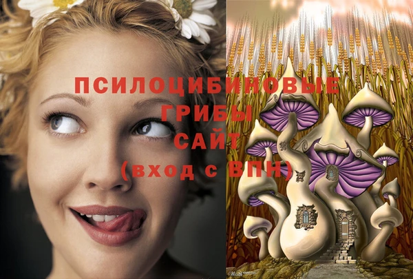 круглые Алзамай