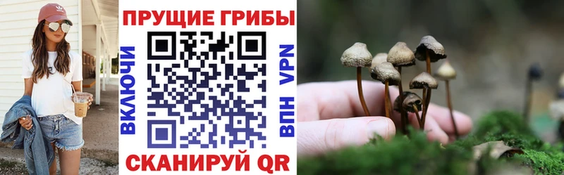 Галлюциногенные грибы Psilocybine cubensis  наркотики  Алушта 